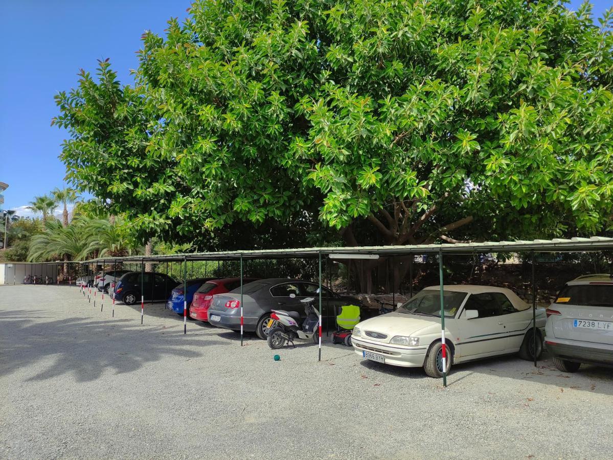 Albir Cosy Apartment El Albir Ngoại thất bức ảnh